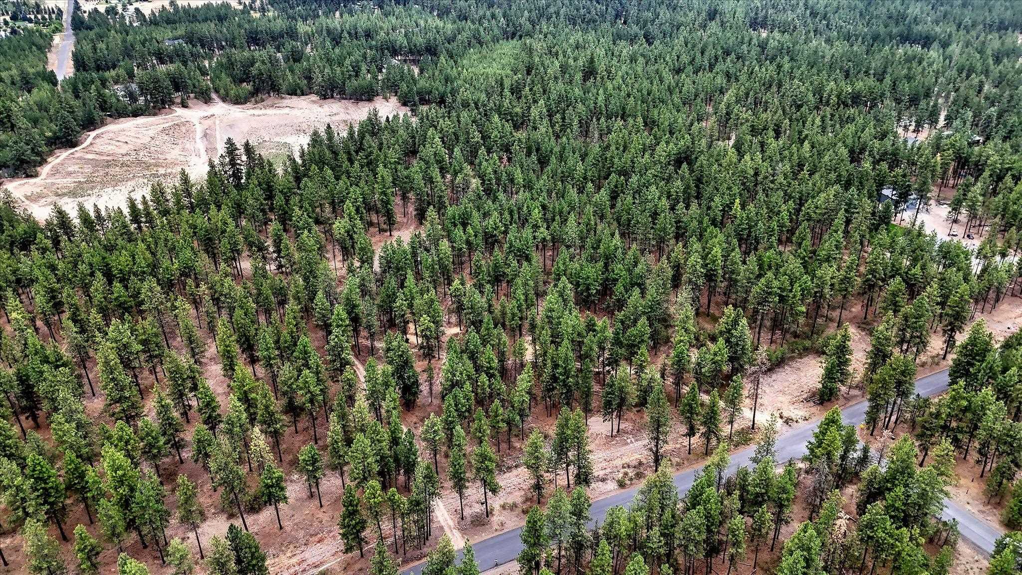 18505 W Buckboard Rd - Photo 12