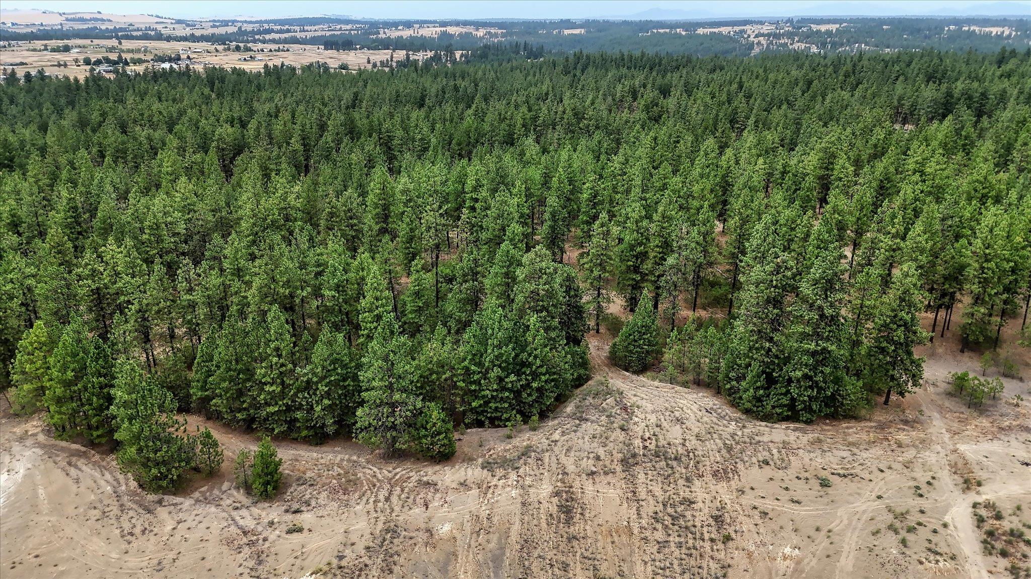18505 W Buckboard Rd - Photo 16