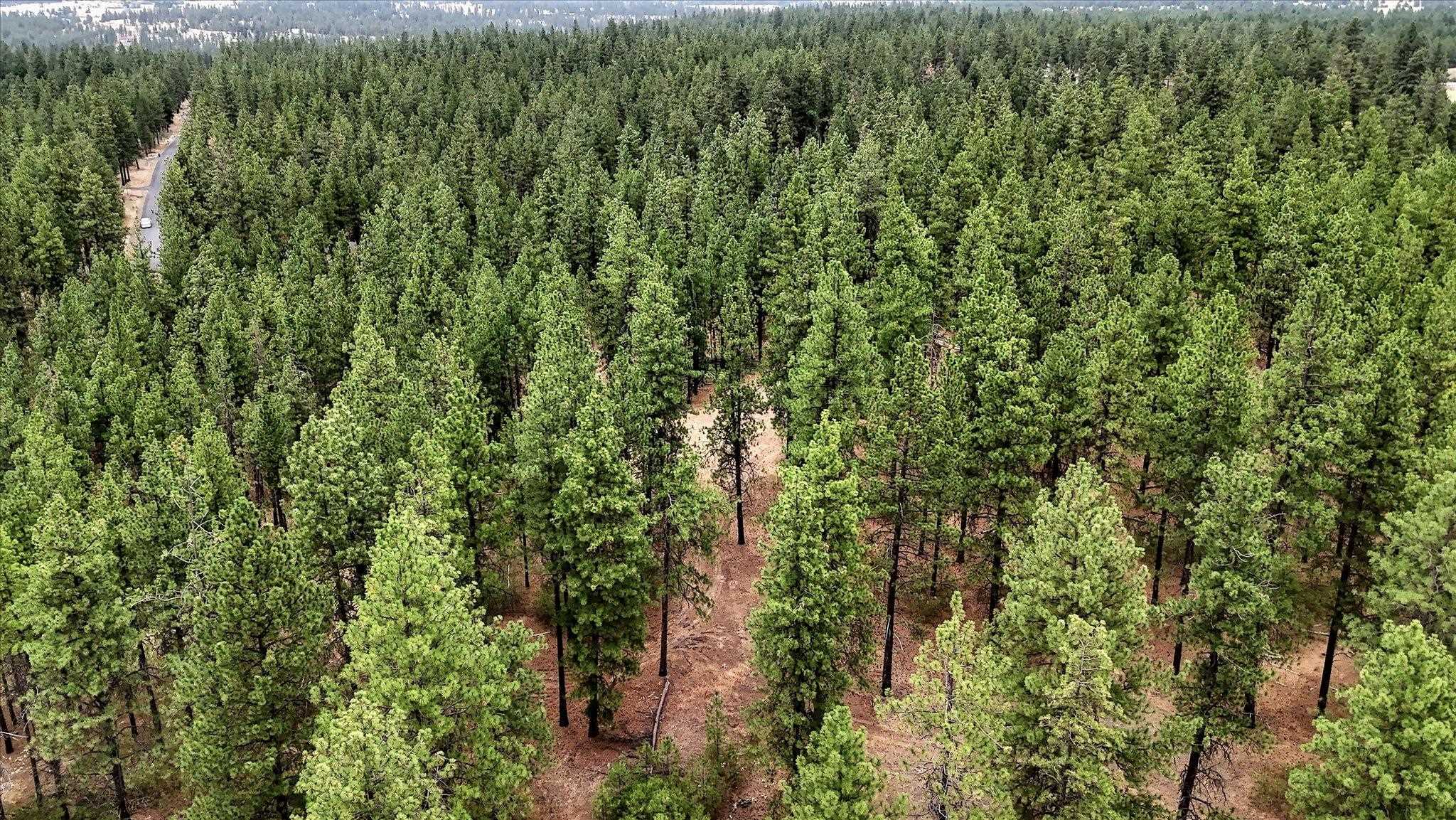 18505 W Buckboard Rd - Photo 19