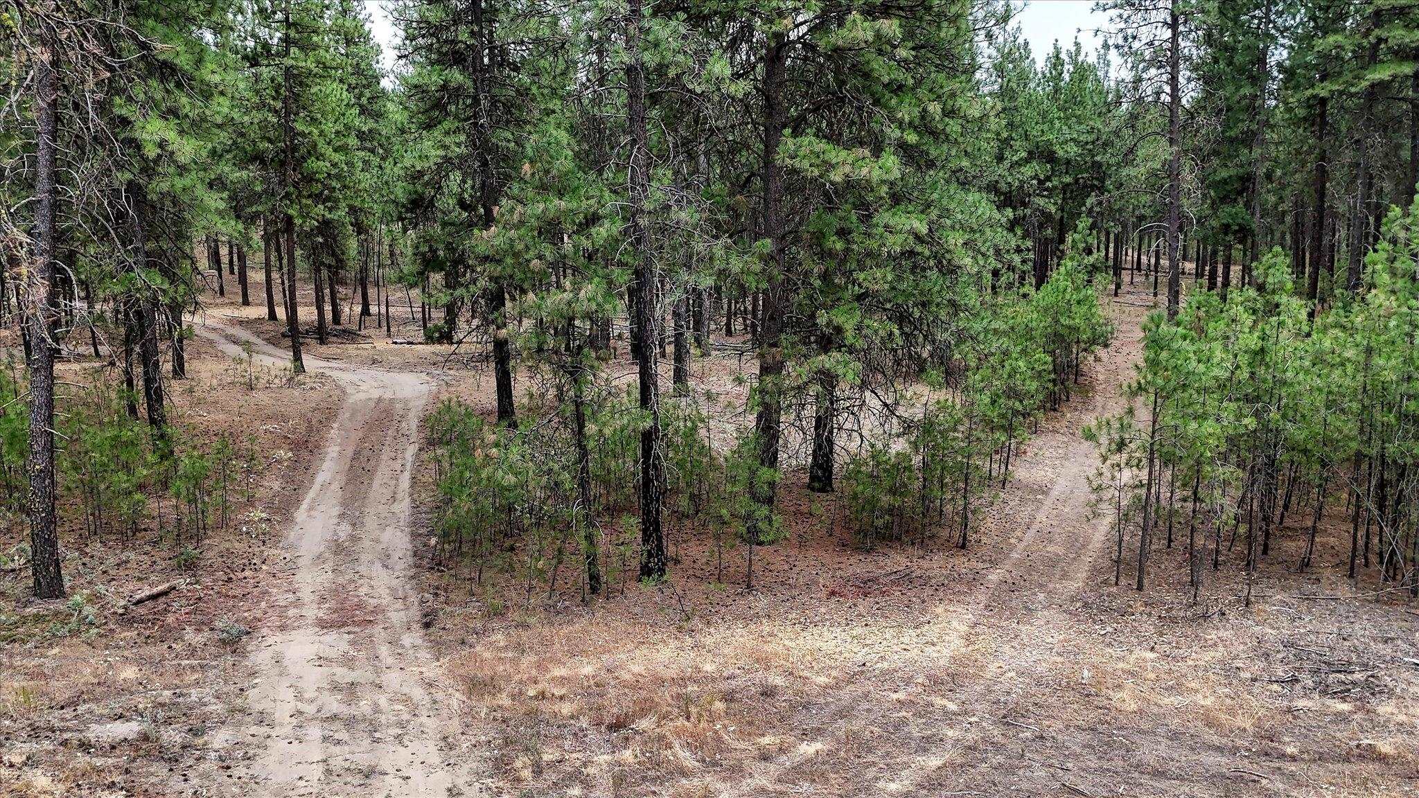 18505 W Buckboard Rd - Photo 20