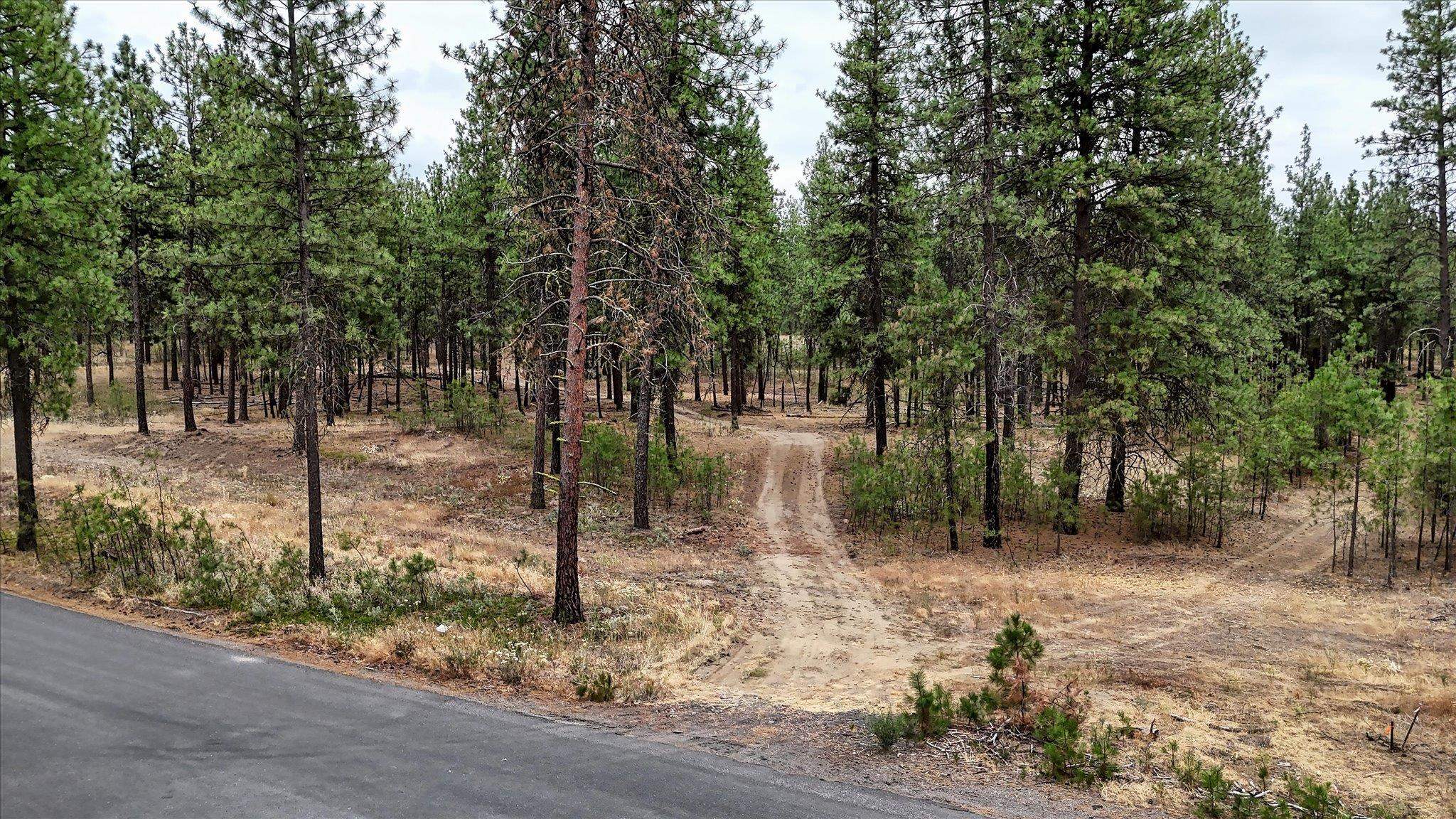 18505 W Buckboard Rd - Photo 3