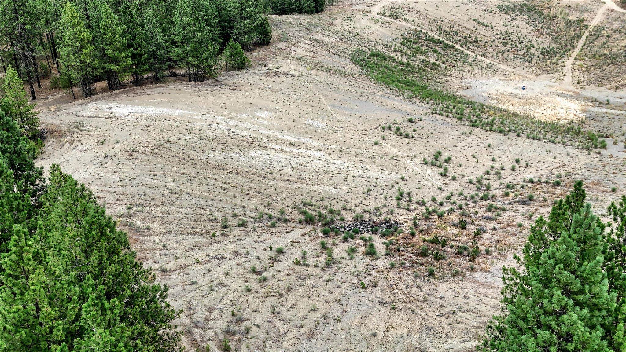 18505 W Buckboard Rd - Photo 21