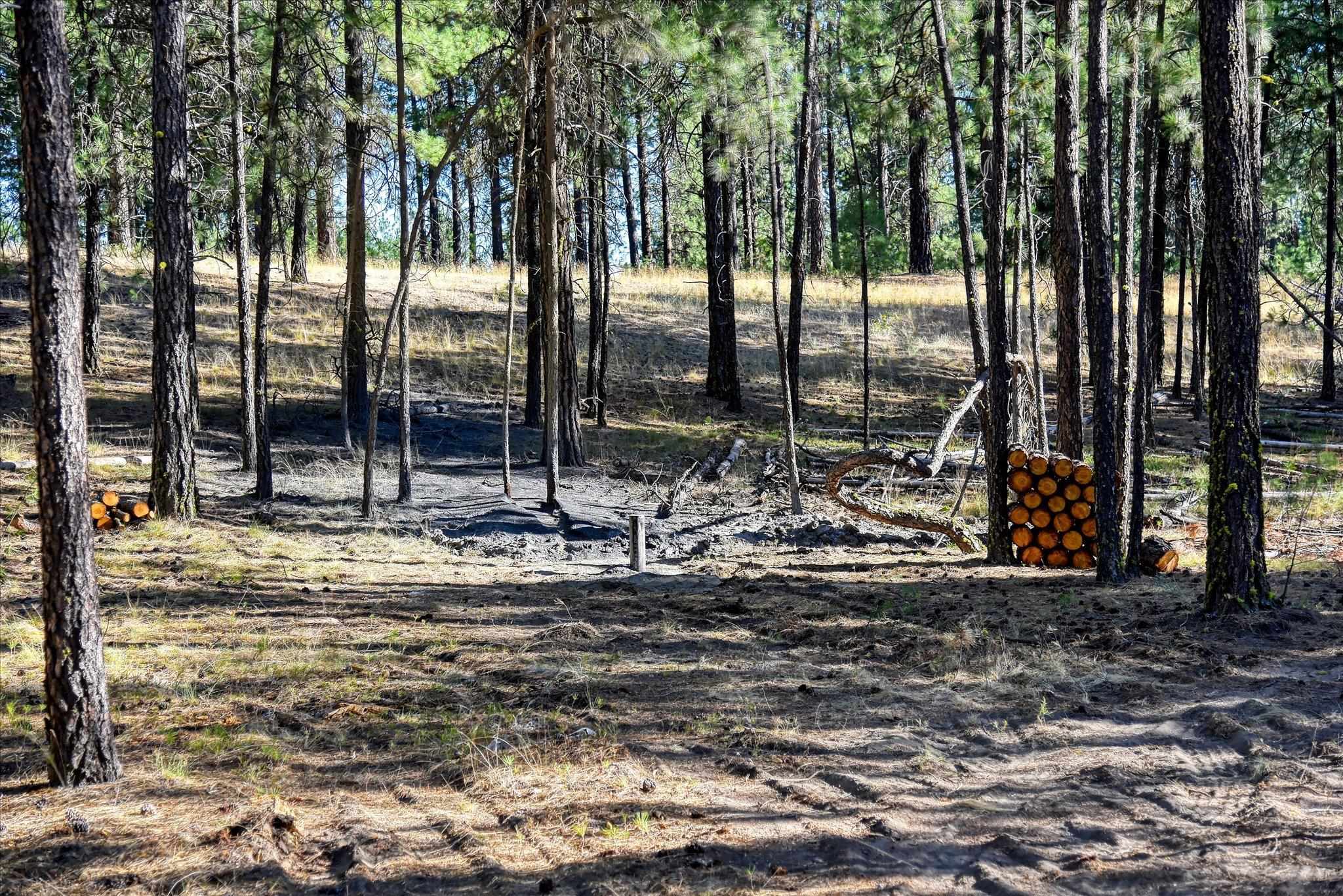 18505 W Buckboard Rd - Photo 7