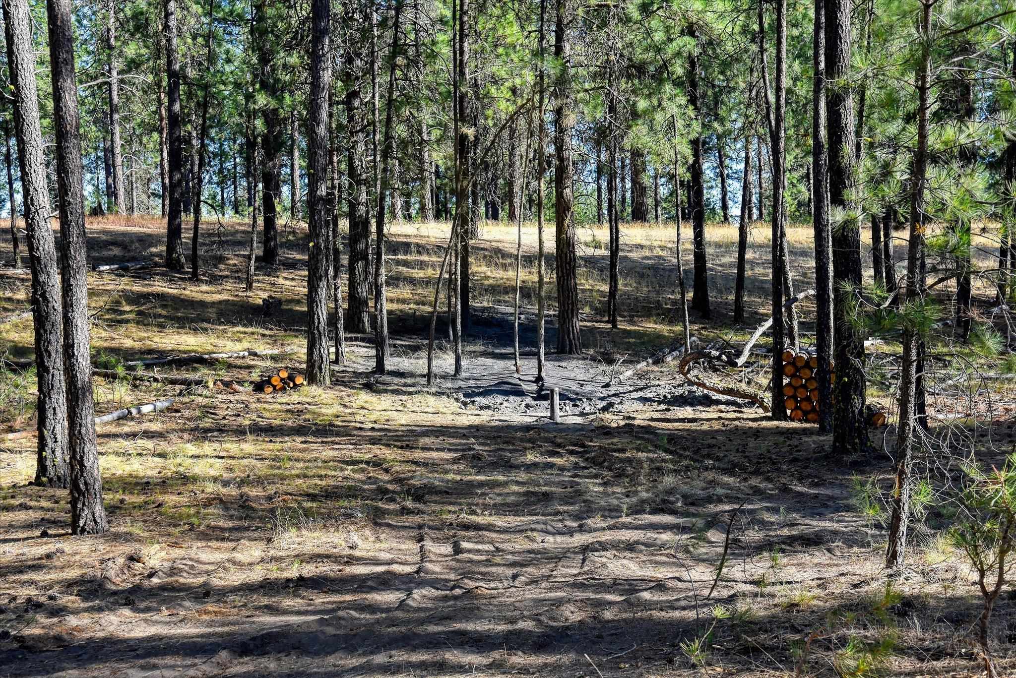 18505 W Buckboard Rd - Photo 8