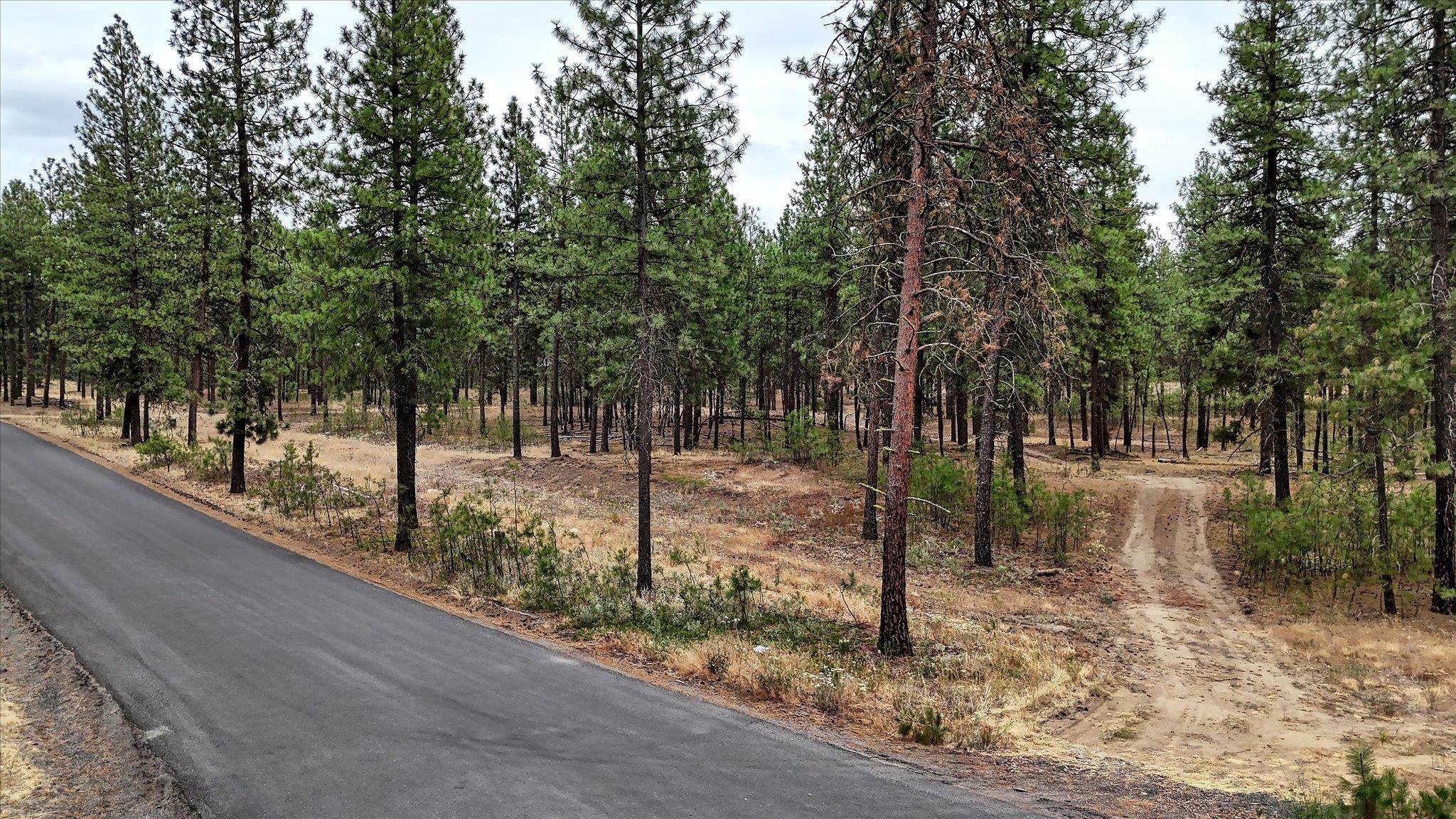 18505 W Buckboard Rd - Photo 9