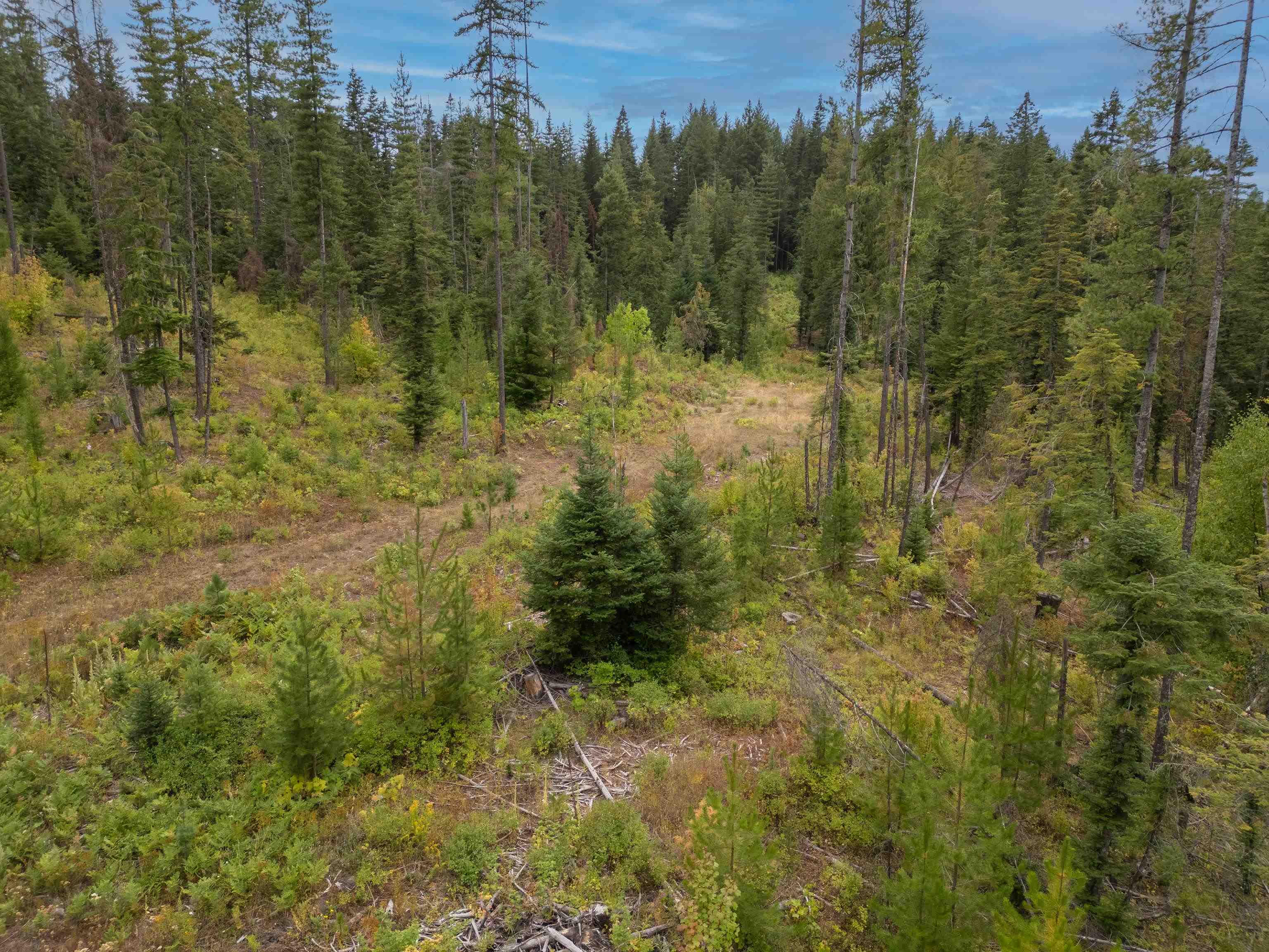 XX N Deer Ln - Photo 14