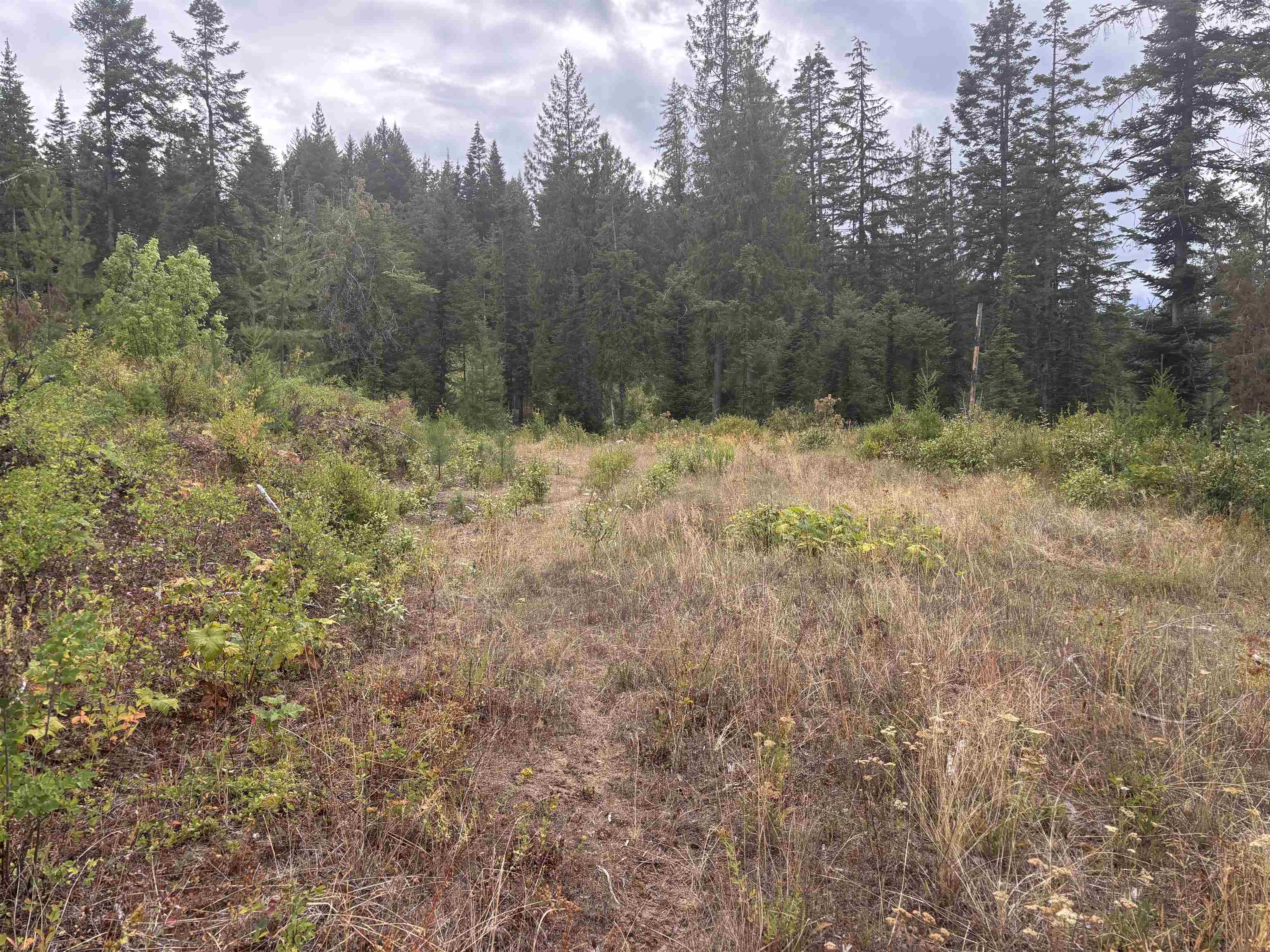 XX N Deer Ln - Photo 15