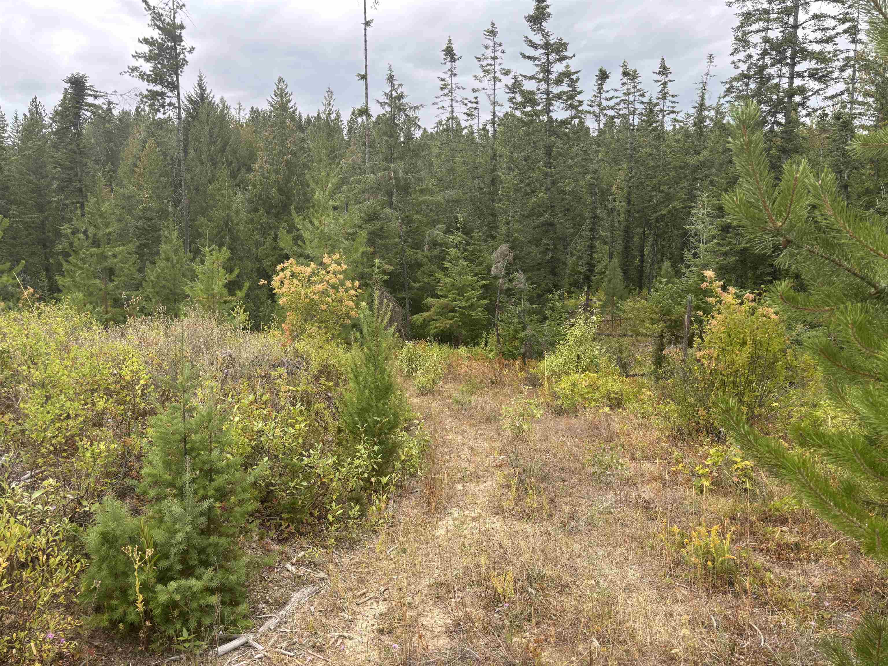 XX N Deer Ln - Photo 16