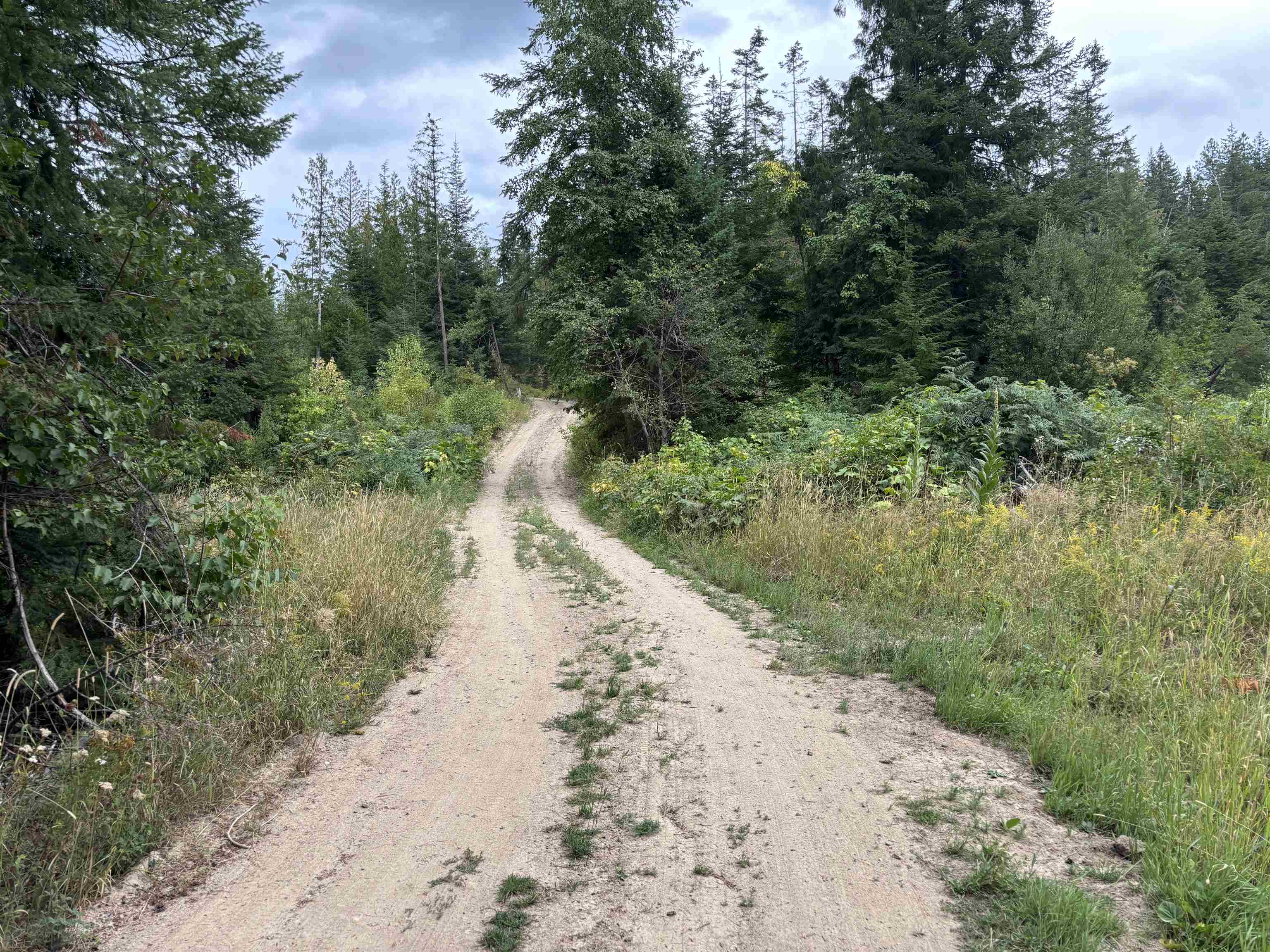 XX N Deer Ln - Photo 17