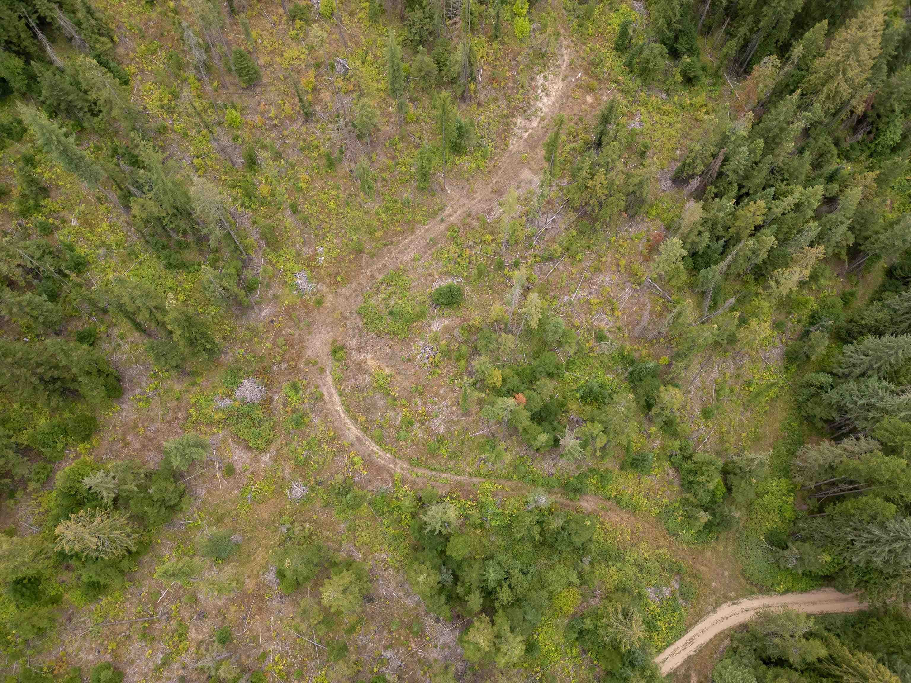 XX N Deer Ln - Photo 7