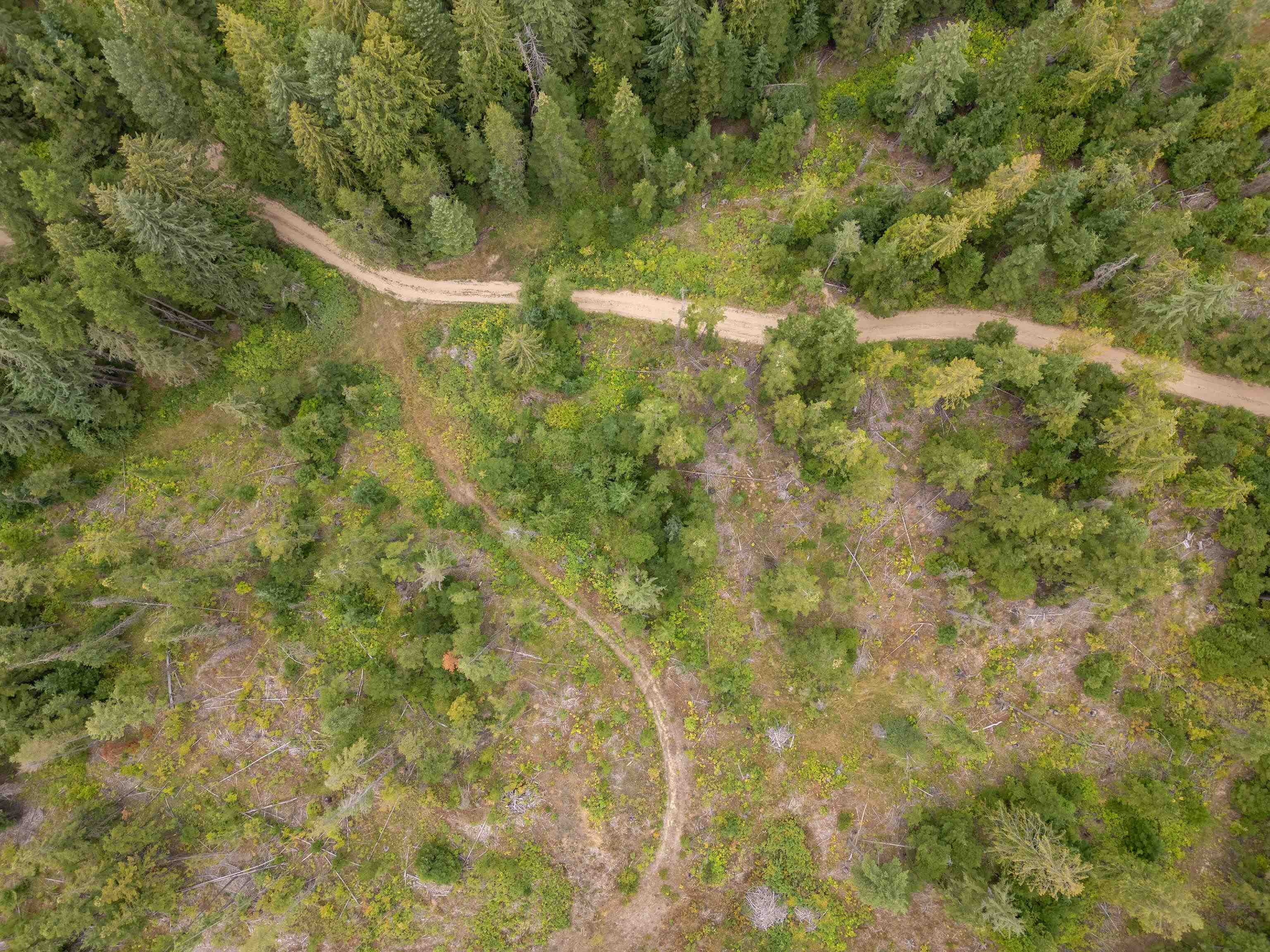 XX N Deer Ln - Photo 8