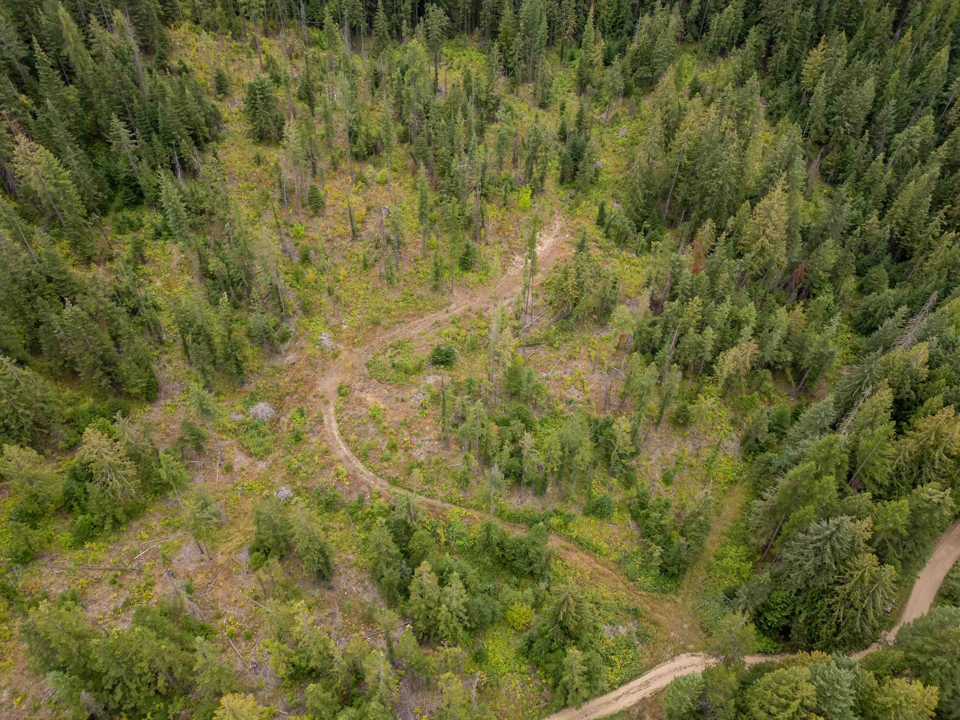 XX N Deer Ln - Photo 9