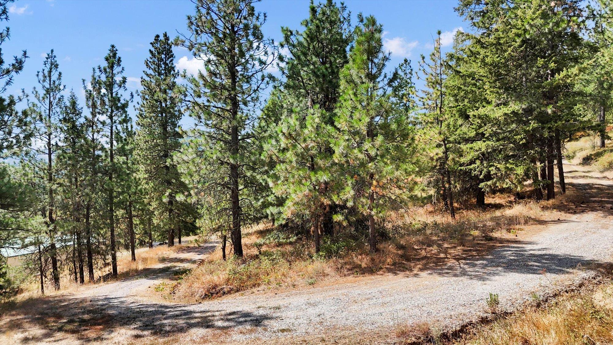 4107 S GHERING Ln - Photo 3