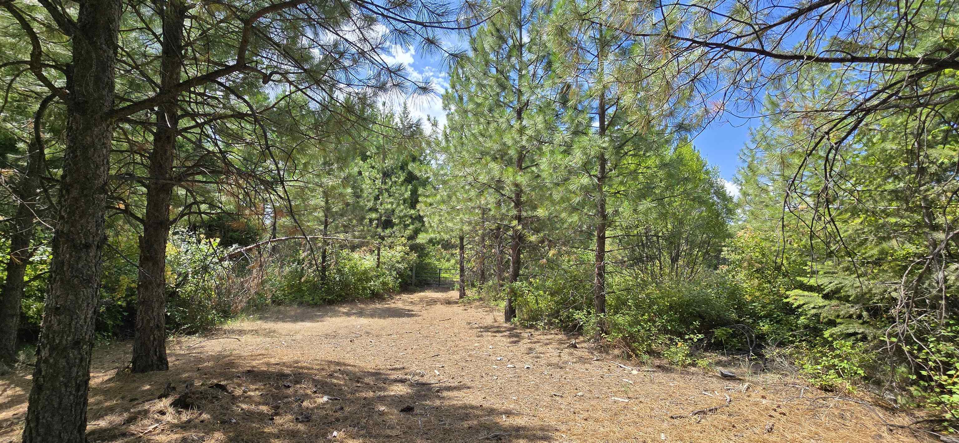1733 Old CC Rd - Photo 19