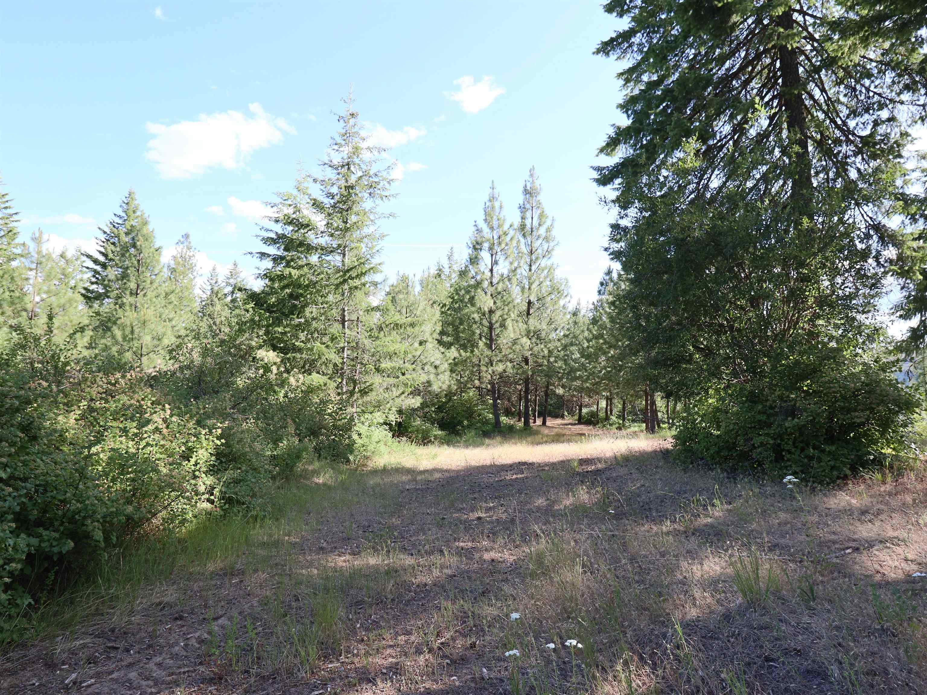 1733 Old CC Rd - Photo 25