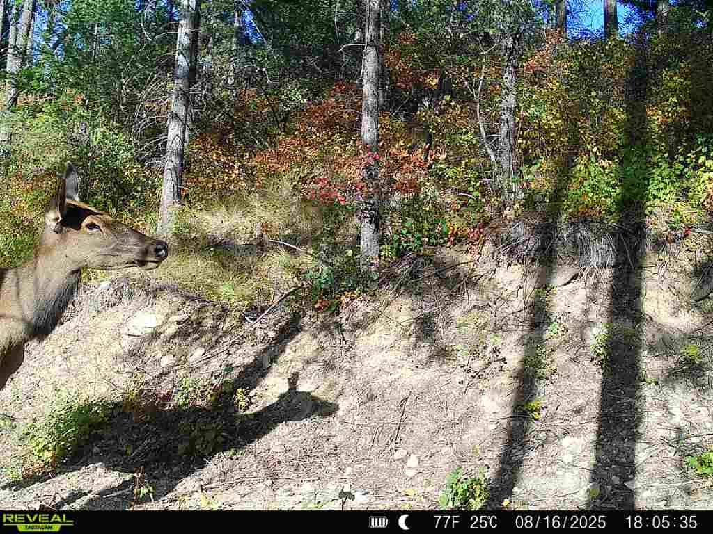 1733 Old CC Rd - Photo 26