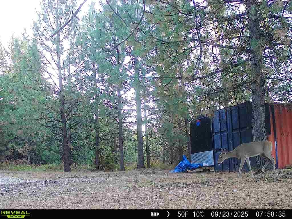 1733 Old CC Rd - Photo 27