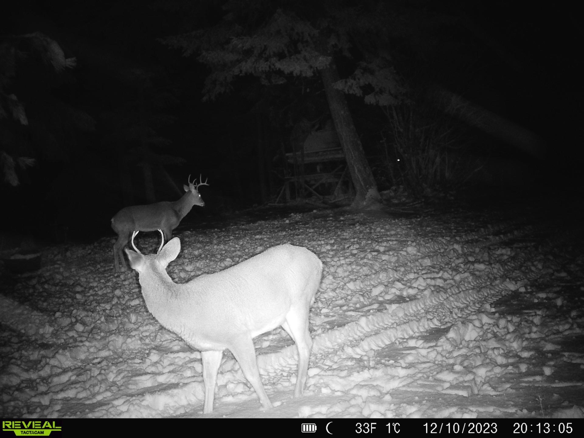 1733 Old CC Rd - Photo 30