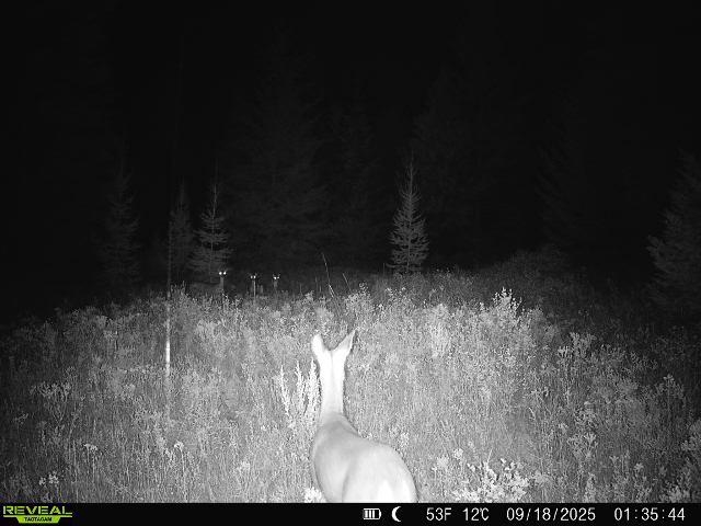 1733 Old CC Rd - Photo 31
