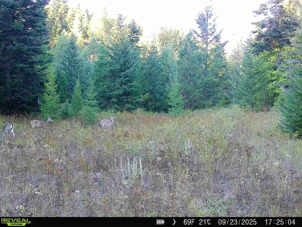 1733 Old CC Rd - Photo 32