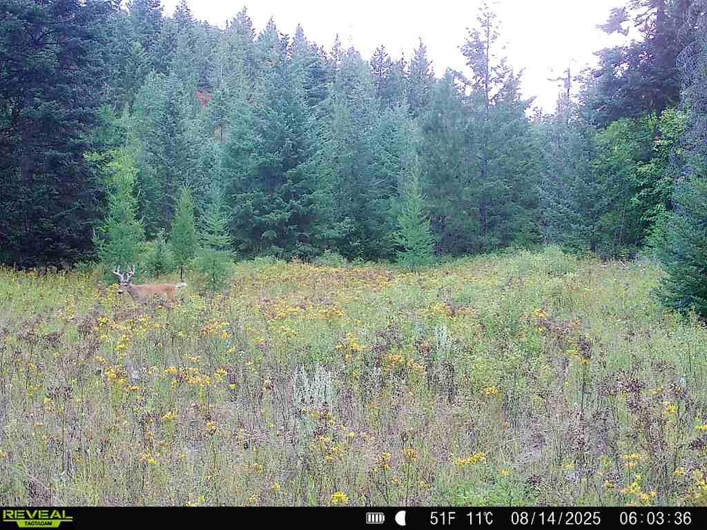 1733 Old CC Rd - Photo 33