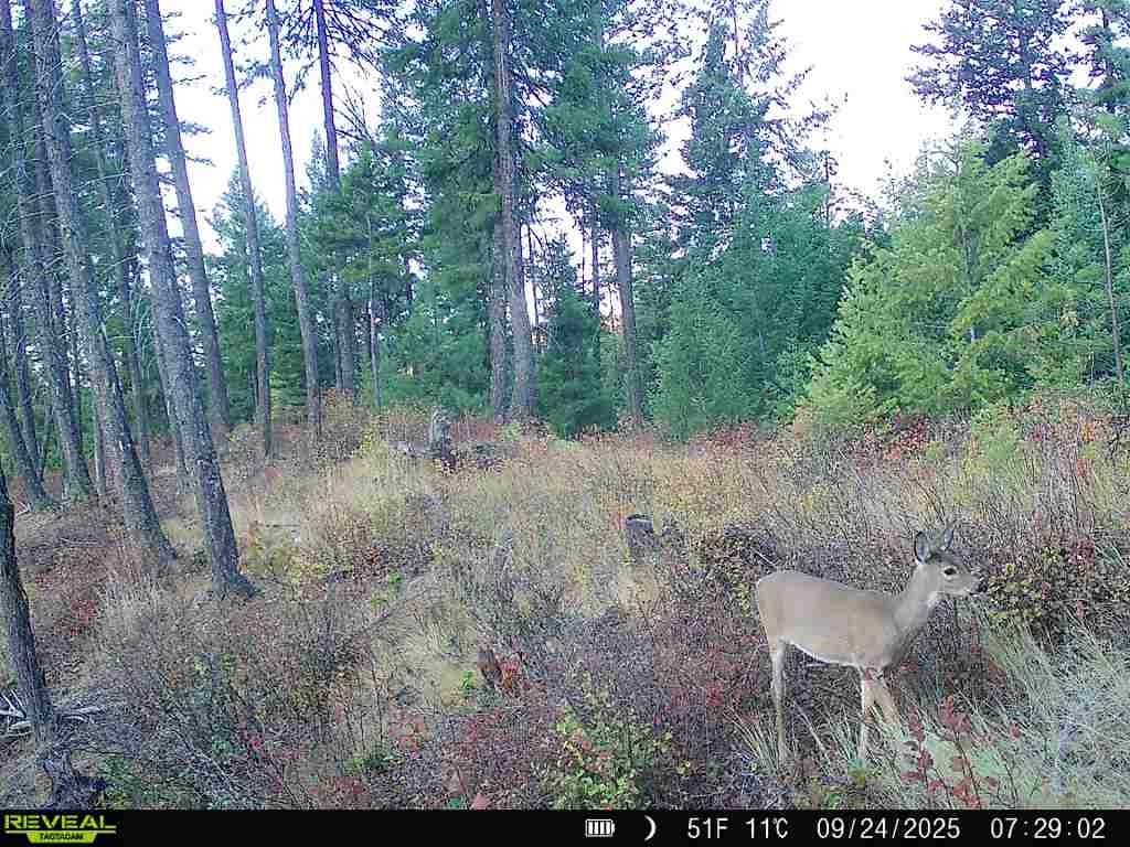1733 Old CC Rd - Photo 34