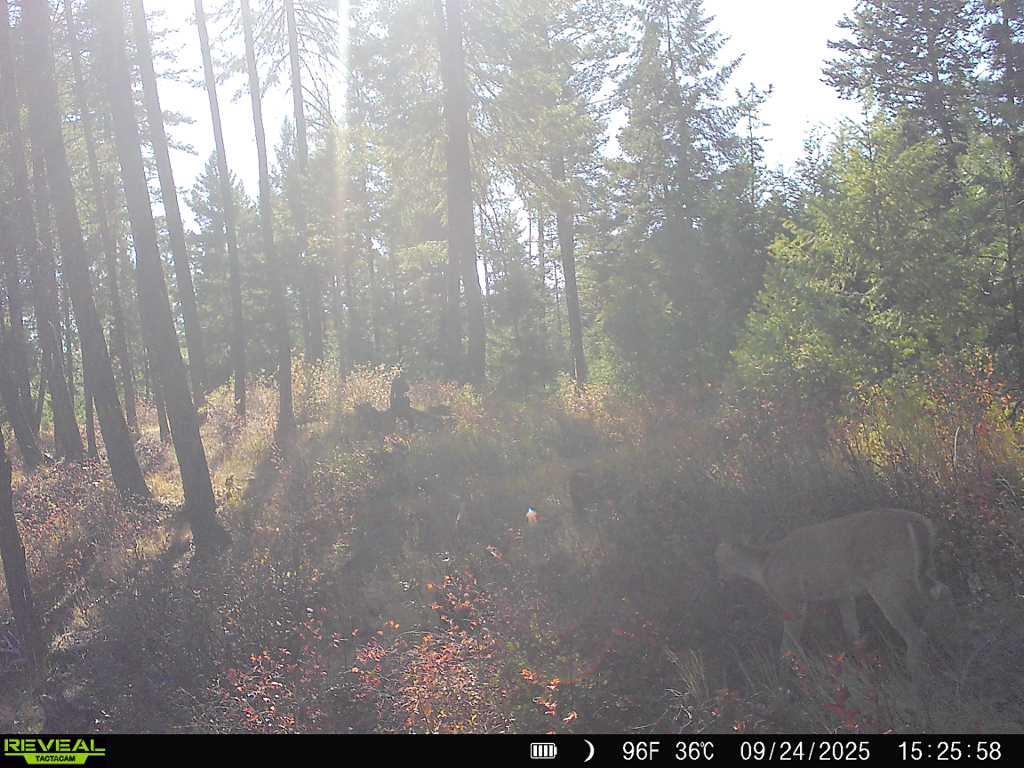 1733 Old CC Rd - Photo 35