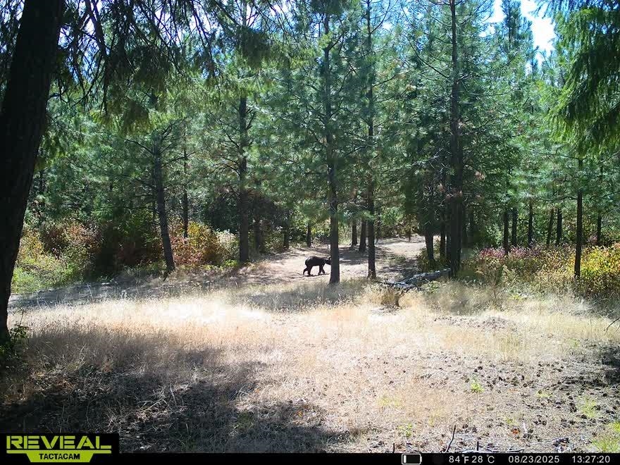 1733 Old CC Rd - Photo 36