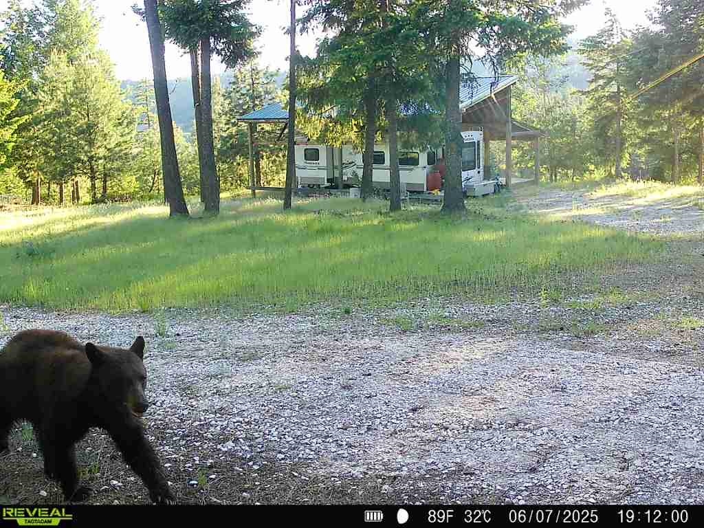 1733 Old CC Rd - Photo 37