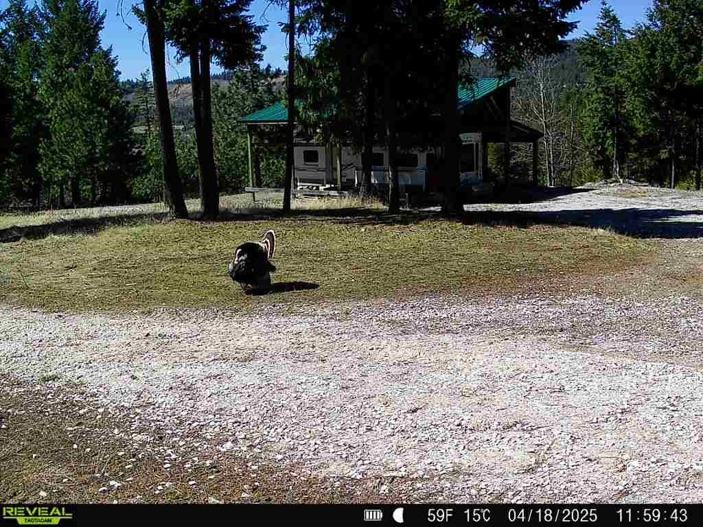 1733 Old CC Rd - Photo 38