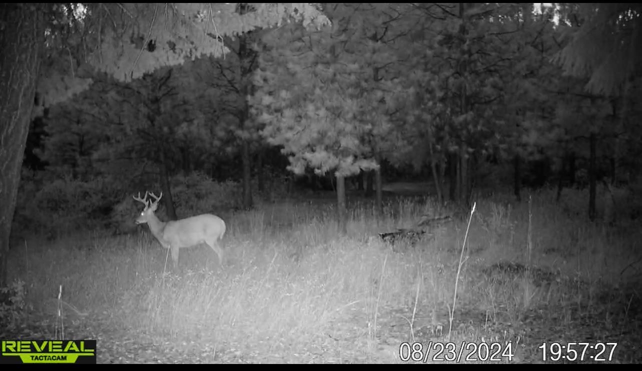 1733 Old CC Rd - Photo 40