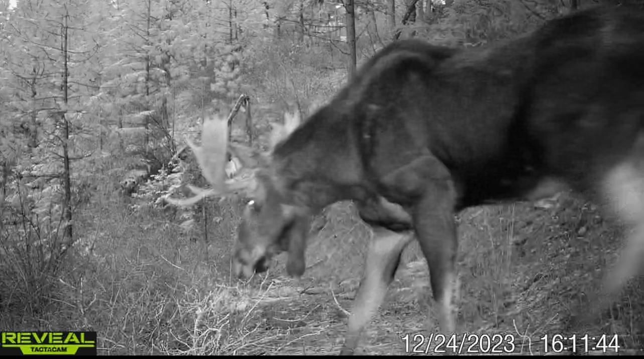 1733 Old CC Rd - Photo 5