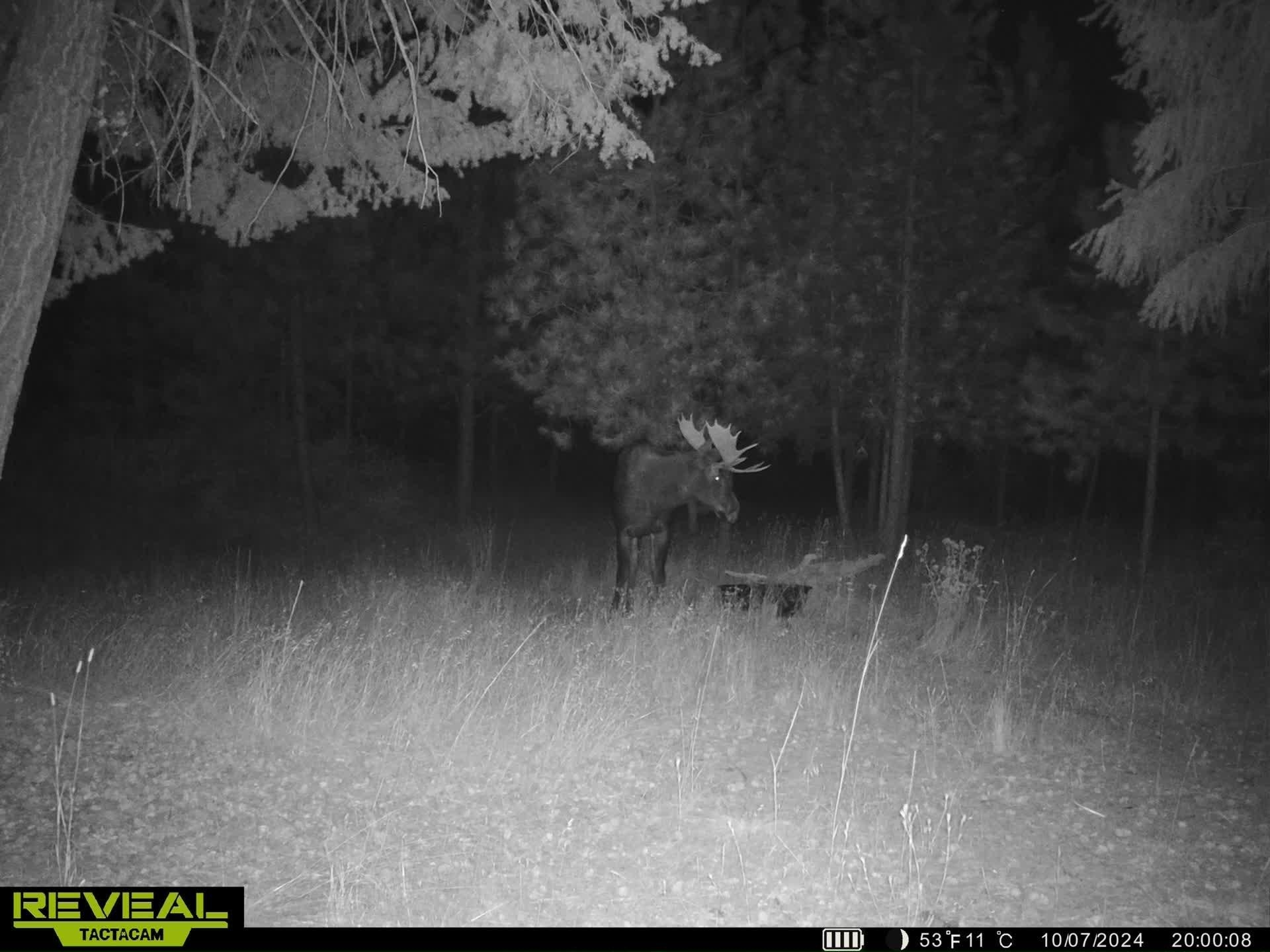 1733 Old CC Rd - Photo 42