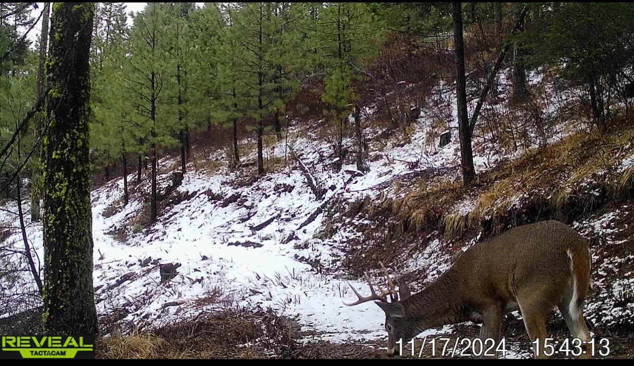 1733 Old CC Rd - Photo 45