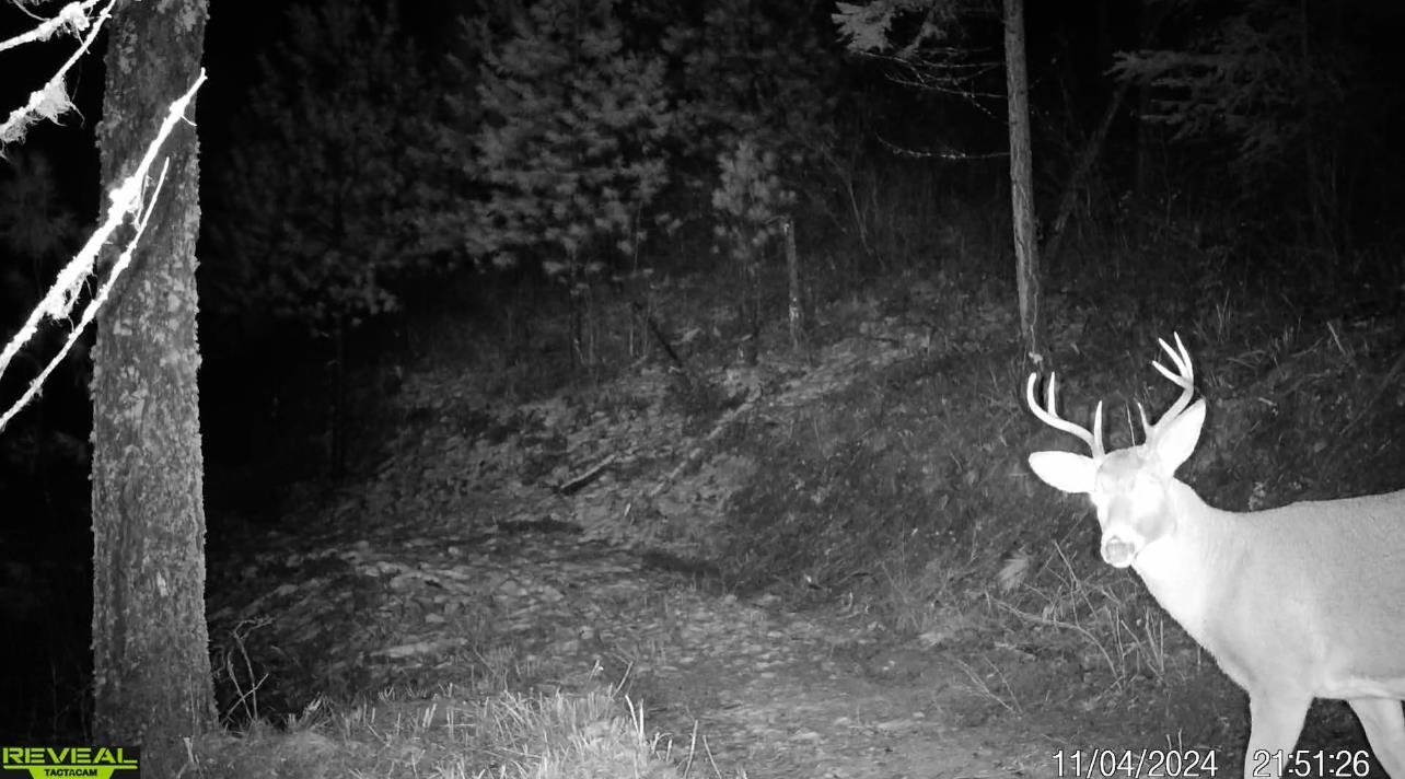 1733 Old CC Rd - Photo 6