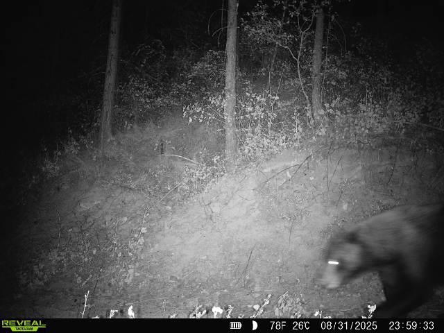 1733 Old CC Rd - Photo 7