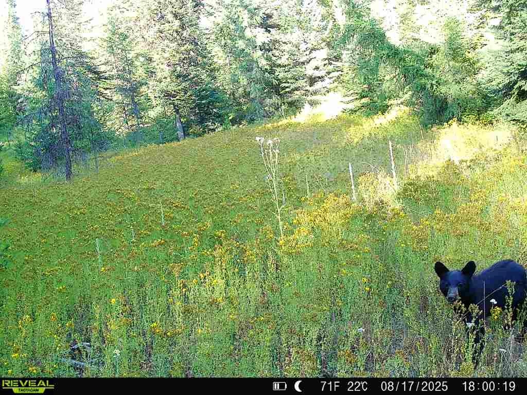 1733 Old CC Rd - Photo 8