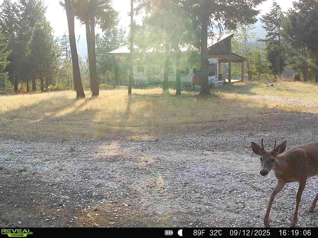 1733 Old CC Rd - Photo 9