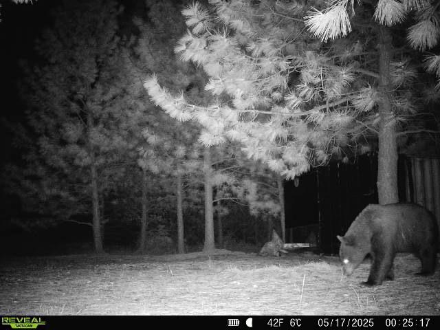 1733 Old CC Rd - Photo 10