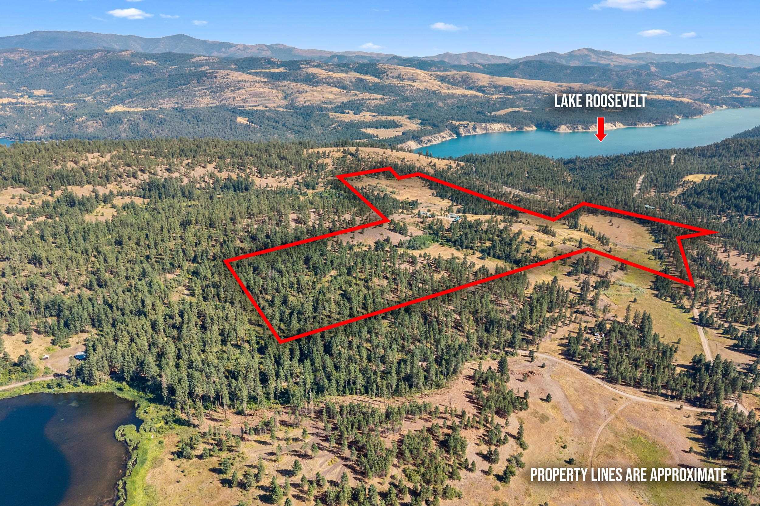 26 Stray Dog Canyon Rd - Photo 2