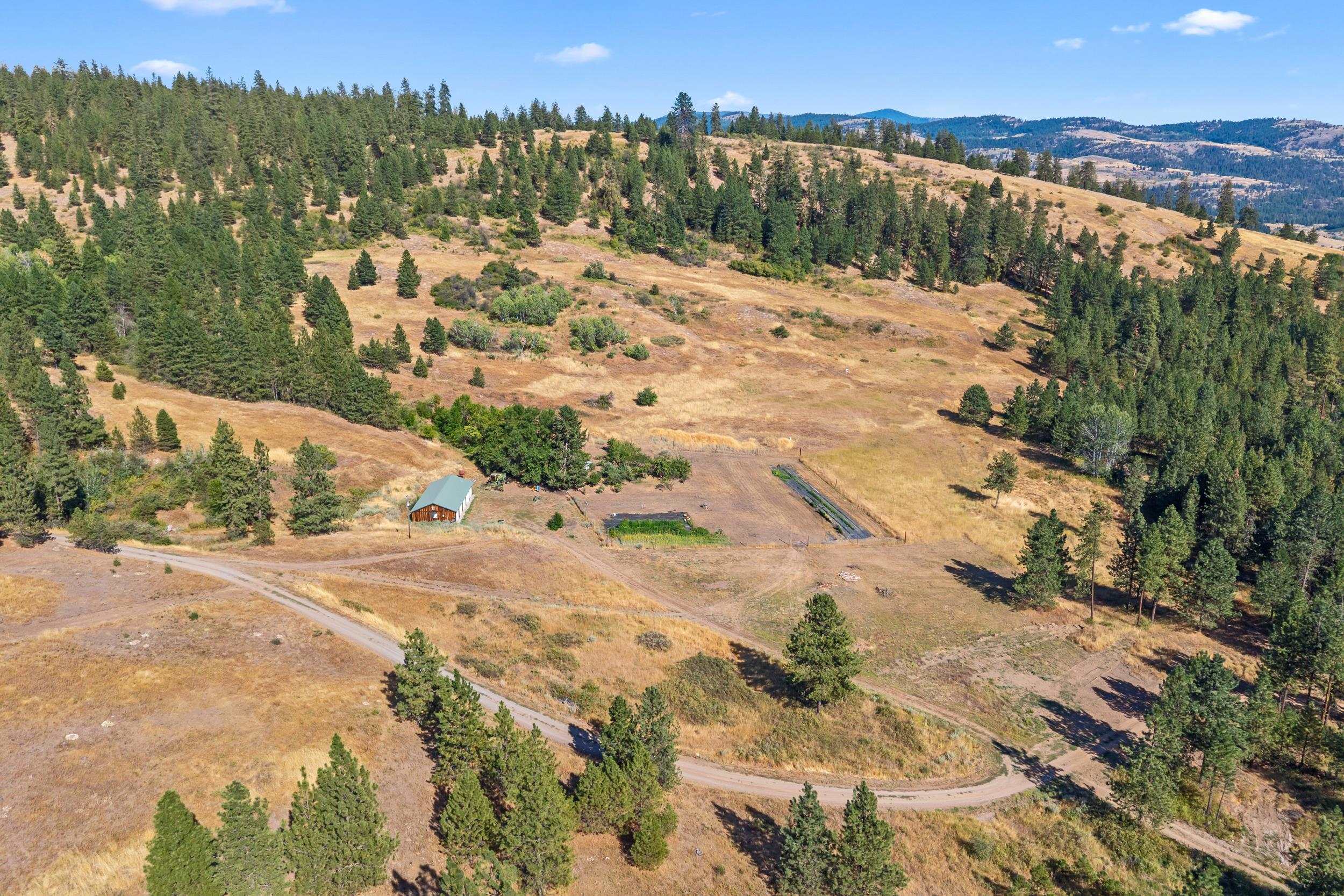 26 Stray Dog Canyon Rd - Photo 33