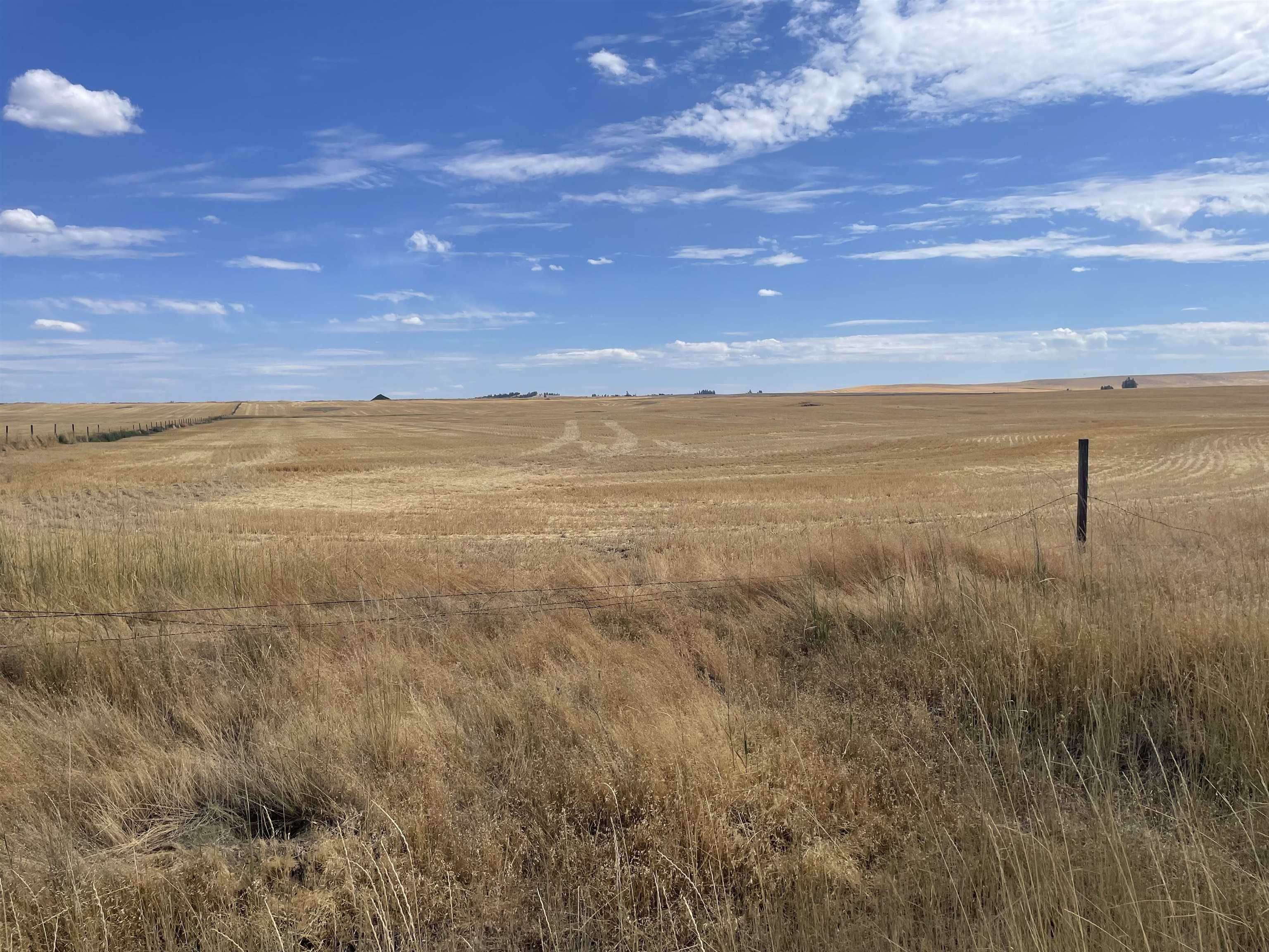 35251 Crescent N Rd - Photo 9