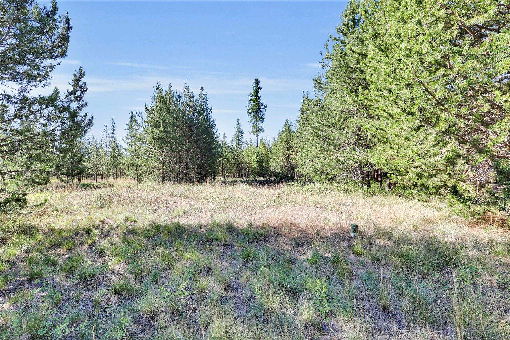 142 Freedom Meadows Dr - Photo 14