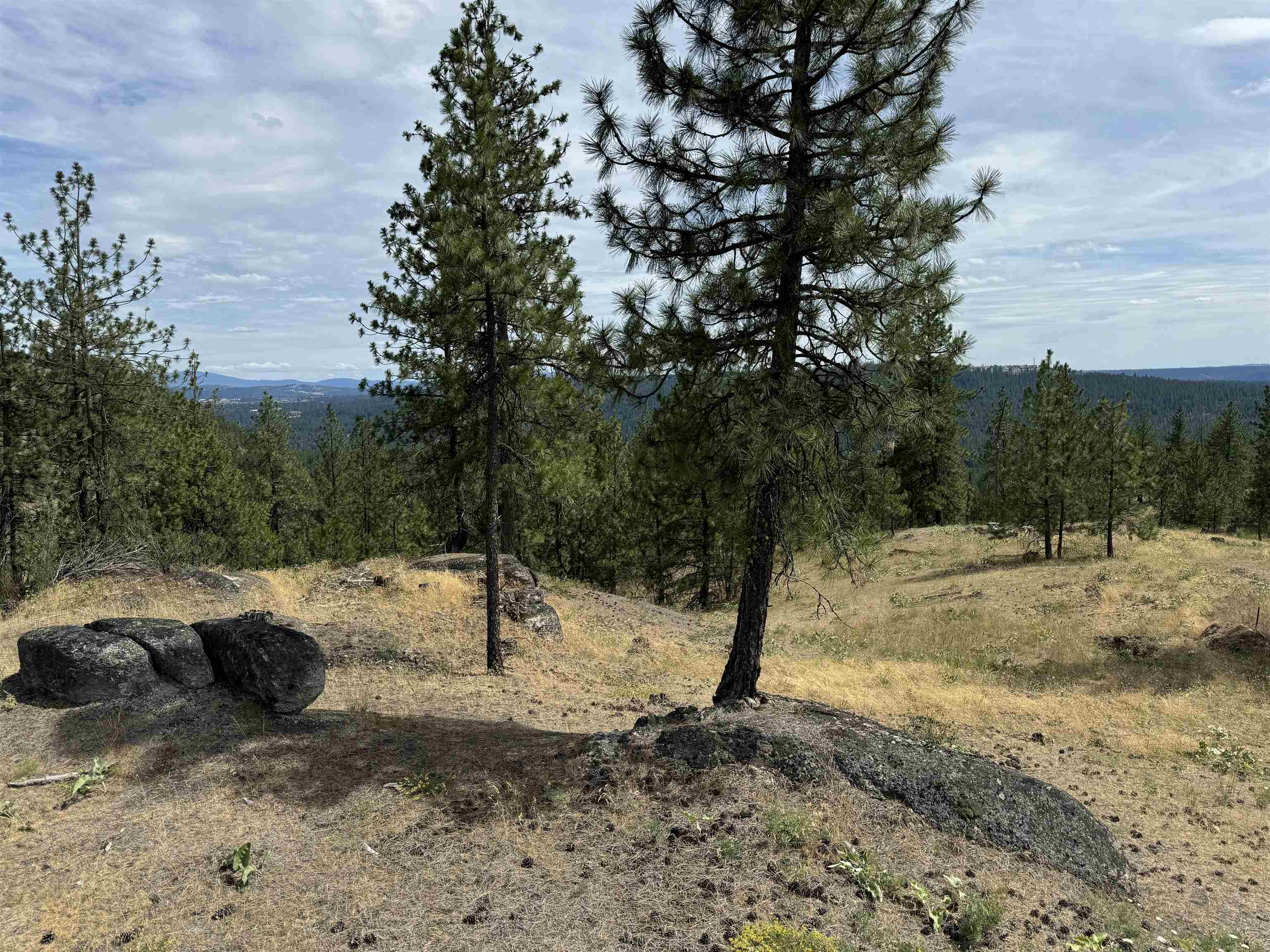 14812 N Cliff Ln - Photo 1