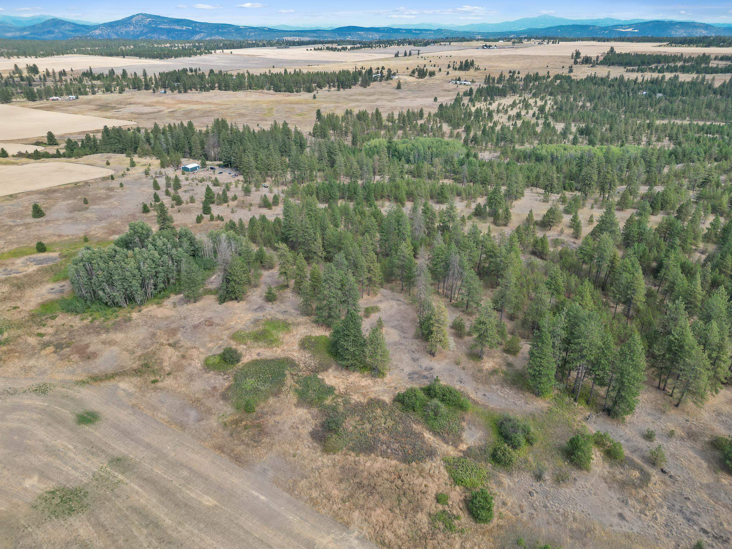 228xx W Four Mound Rd - Photo 2