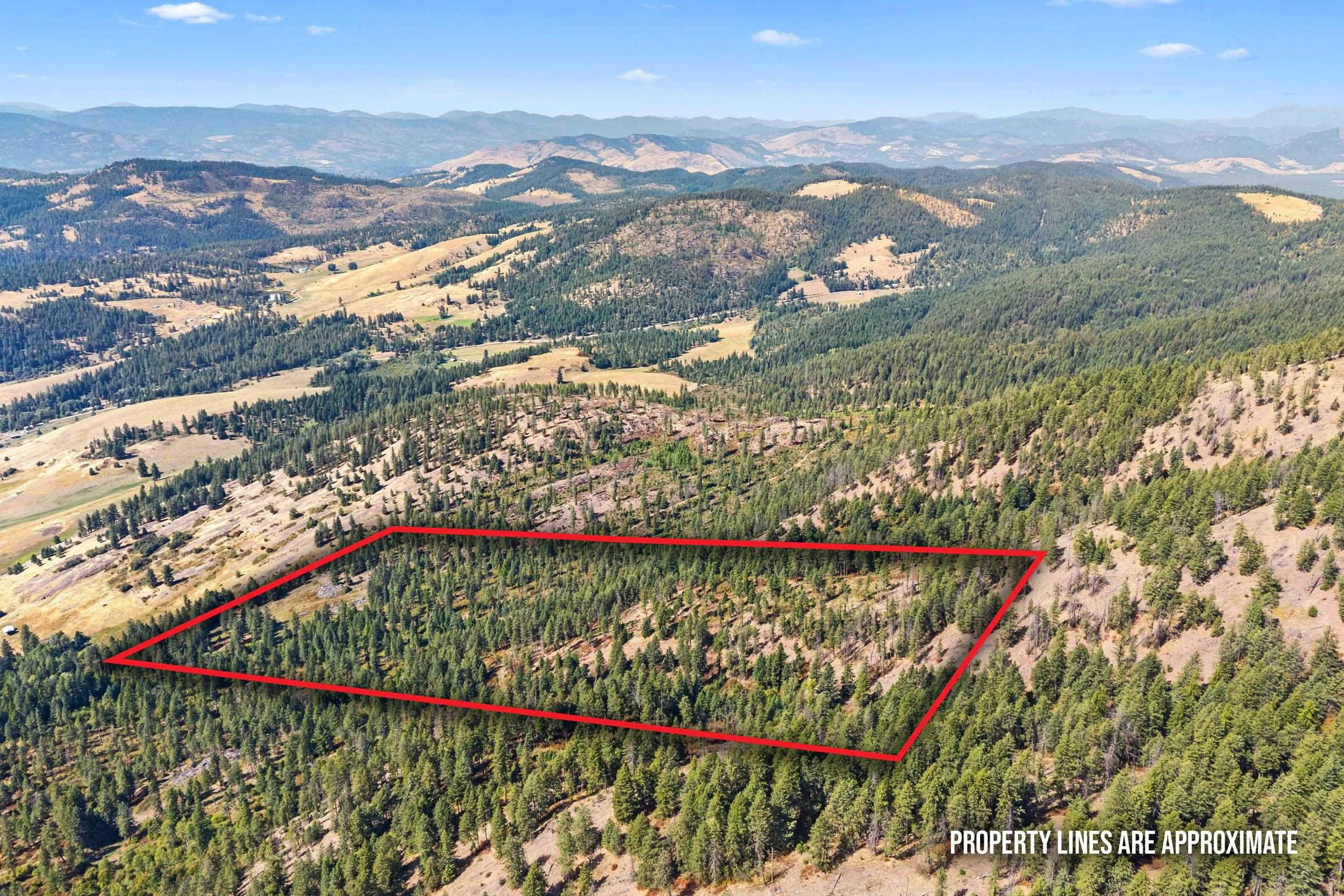 68X Highland Loop - Photo 2