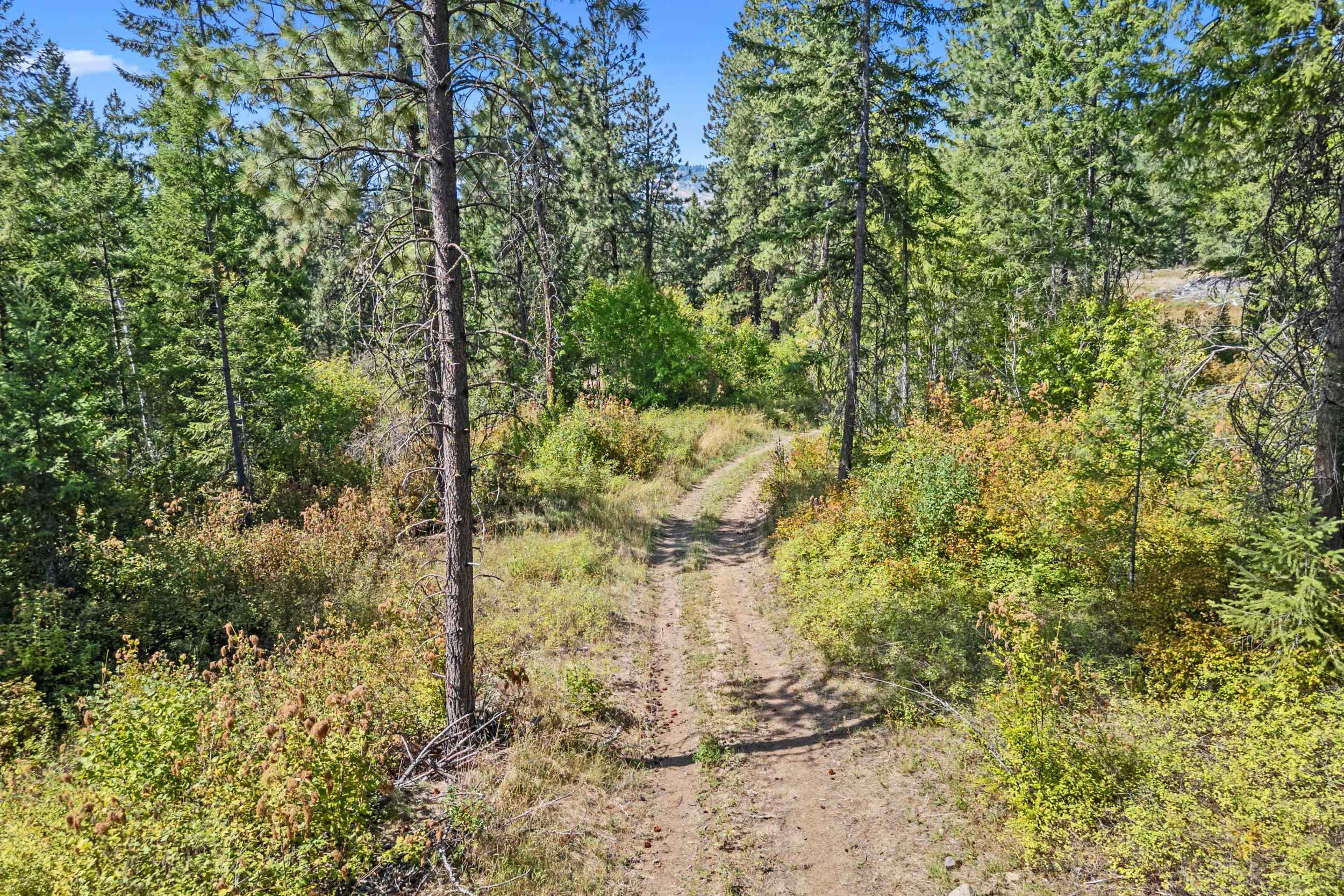 68X Highland Loop - Photo 13