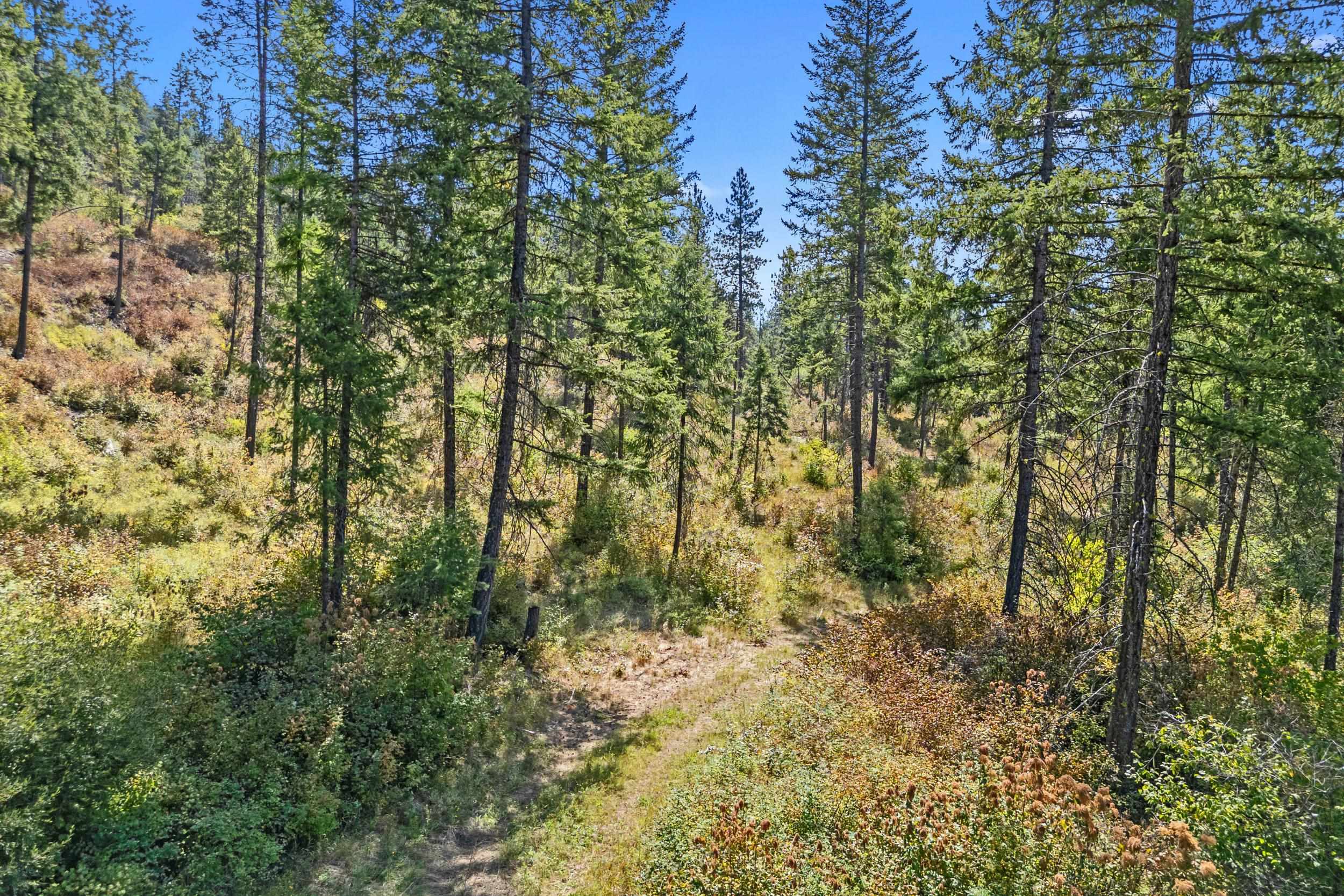 68X Highland Loop - Photo 14