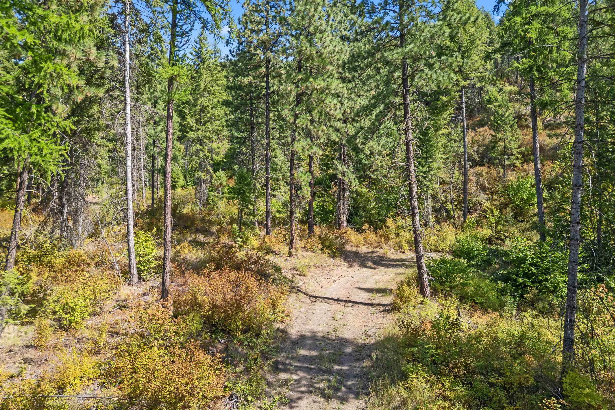 68X Highland Loop - Photo 15
