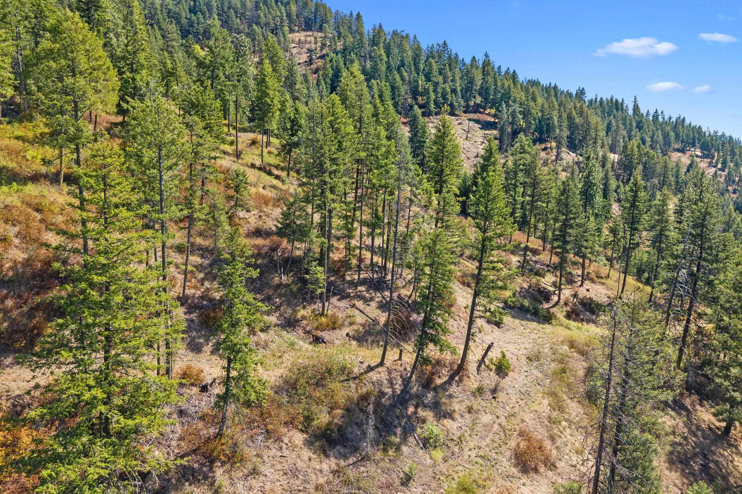 68X Highland Loop - Photo 16